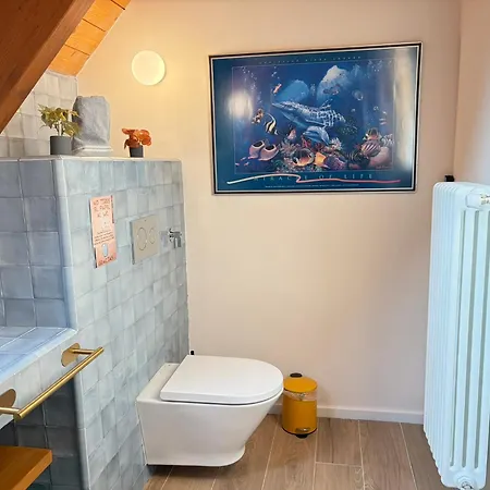 Borda Del Llano * Bielsa