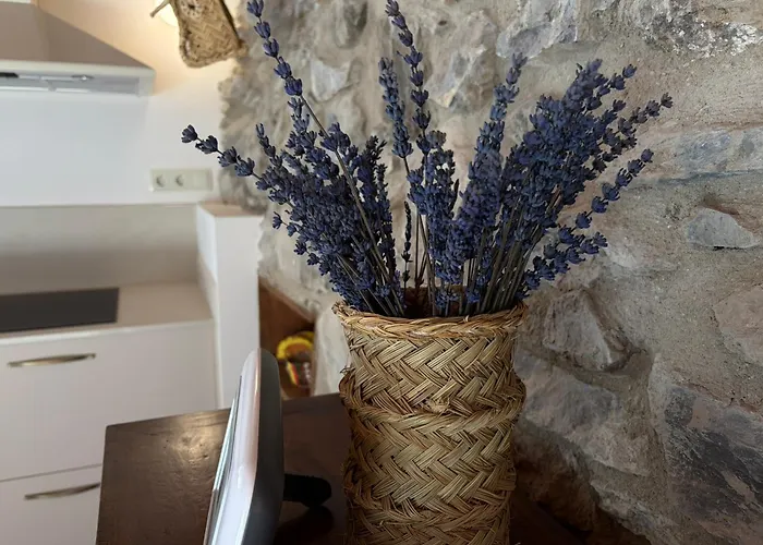 Borda Del Llano Holiday home